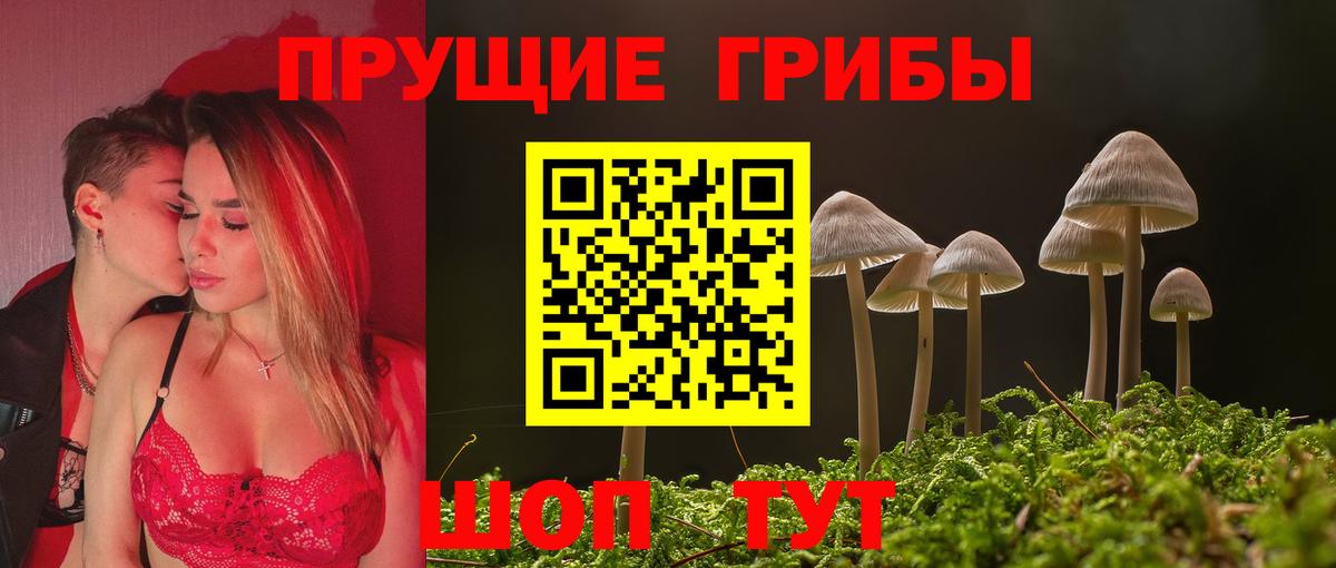 Биробиджан  Псилоцибиновые грибы Psilocybine cubensis  Вход с VPN 
